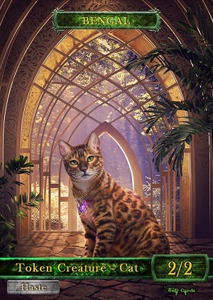 Cat #9 (for Jinnie Fay)